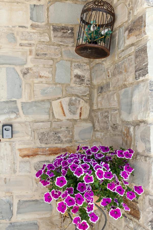 Holiday home Kritikies Kydonia Pitsidia